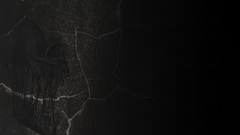 Skulls skull and fire