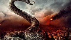 Skulls snakes skyscapes