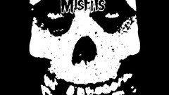 Skulls the misfits