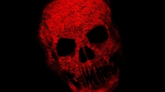 Skulls video games gears