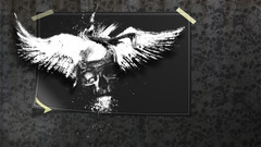 Skulls wings