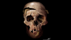 Skulls worms