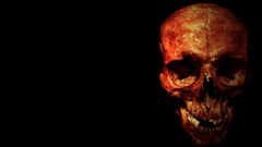 Skullwp by cheesebutt