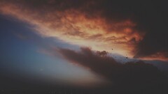 sky nature clouds Birds flying