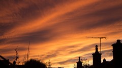 Sky orange lines skylines