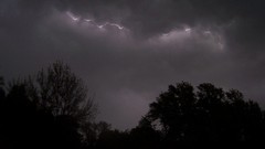 Sky storm nature Trees