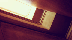 Skylight ty architecture