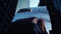 Skyline reflection high Car