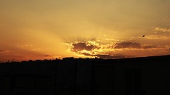 Skyscapes fly sun nature