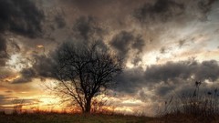 Skyscapes Landscapes nature