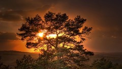 Skyscapes Landscapes nature