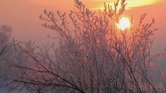 Skyscapes Landscapes nature winter