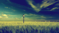 Skyscapes Landscapes soft shading