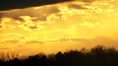 Skyscapes yellow sky nature
