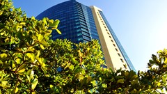 Skyscrapers skyscapes