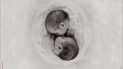 Sleeping babies pure pure Anne Geddes