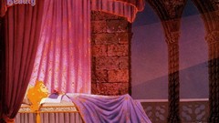 Sleeping Beauty aurora borealis Disney Company