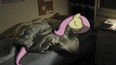 Sleeping beds Photo manipulation my little pony Fluttershy