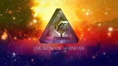 sloths motivational digital art artwork Typography Animals