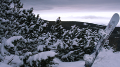 Slovakkia heya wg Made