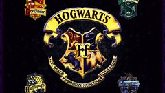 Slytherin Ravenclaw harry potter