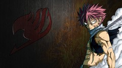 Smoke Anime Fairies Manga pink hair fairy tail logos anime boys 