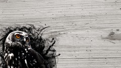 Smoke Birds Wood Owls