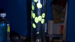 Smoking drugs crack pot