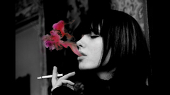 Smoking smoke Cigarettes colors