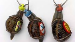 Snails high delivar bumpin Resolution