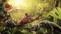 Snails iguana snakes insects Frogs Reptiles turtles chameleons 