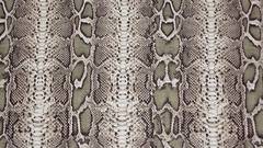 Snake please skin ) With provide lll