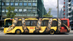 Snakes bus anaconda
