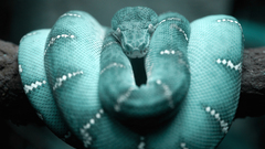 Snakes cyan