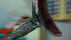 Snakes Harry Potter Book