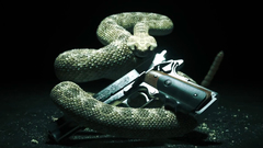 Snakes hitman