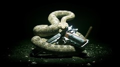 Snakes hitman hitman absolution