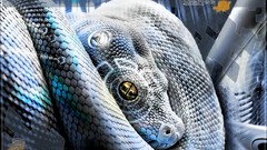 Snakes Photo manipulation fantasy art
