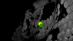 Snakes selective coloring