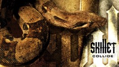 Snakes Skillet logos collide