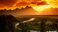 Snakes Wyoming grand teton