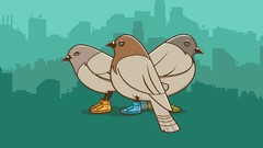 Sneakers Pigeons