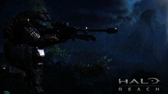 Snipers halo halo reach Rifles