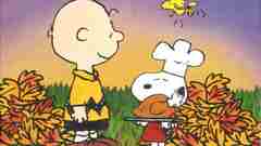 Snoopy Charlie Brown Woodstock