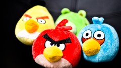 Snow angry birds