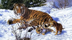 Snow Animals paintings family Tigers baby animals