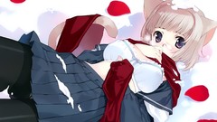 Snow anime girls bra nekomimi animal ears tails underwear