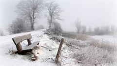Snow bench