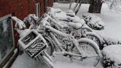 Snow Bicycles brick