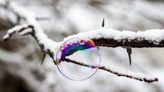 Snow branches bubbles iridescence